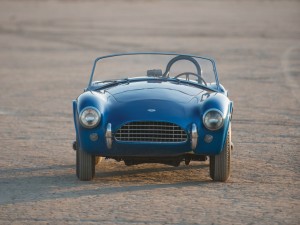 shelby cobra (3)