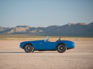 shelby cobra (4)