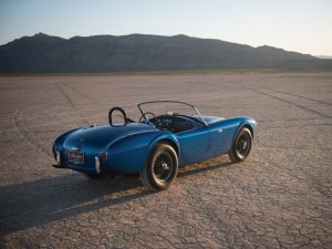 shelby cobra (7)