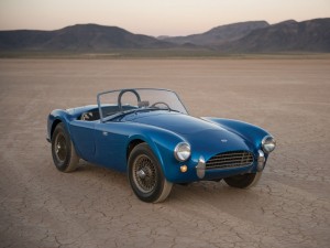 shelby cobra (8)