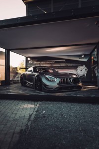 mercedes-amg gt3 edition 50 (4)