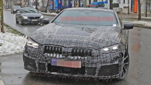 bmw 8 series (3)