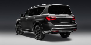 2019 INFINITI QX80 LIMITED (5)