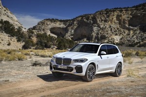 2019 bmw x5 (1)