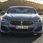 bmw 8 series coupe (2)