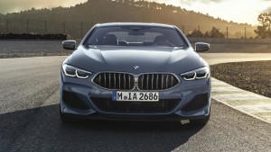 bmw 8 series coupe (2)