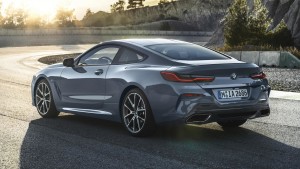 bmw 8 series coupe (3)