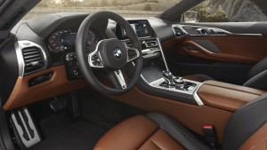 bmw 8 series coupe (6)