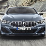 bmw 8 series coupe (8)