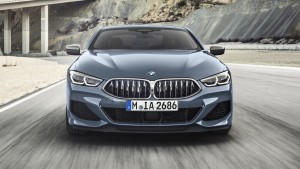 bmw 8 series coupe (8)