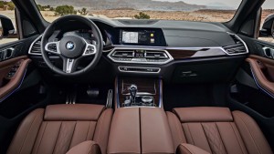 bmw x5 (5)