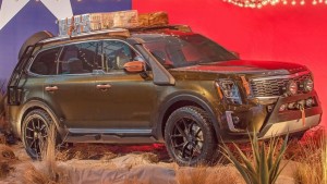 kia telluride (1)