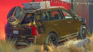 kia telluride (2)